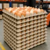 360 Eggs